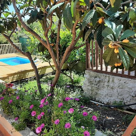 Carrubo - Giardino In Citta Villa Katanya Dış mekan fotoğraf