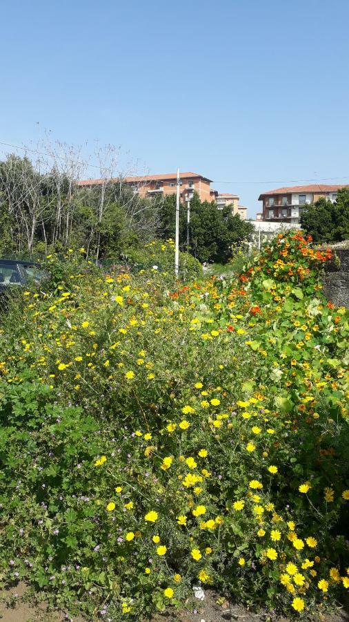 Carrubo - Giardino In Citta Villa Katanya Dış mekan fotoğraf