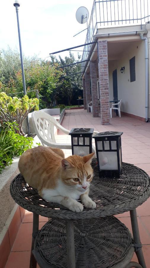 Carrubo - Giardino In Citta Villa Katanya Dış mekan fotoğraf